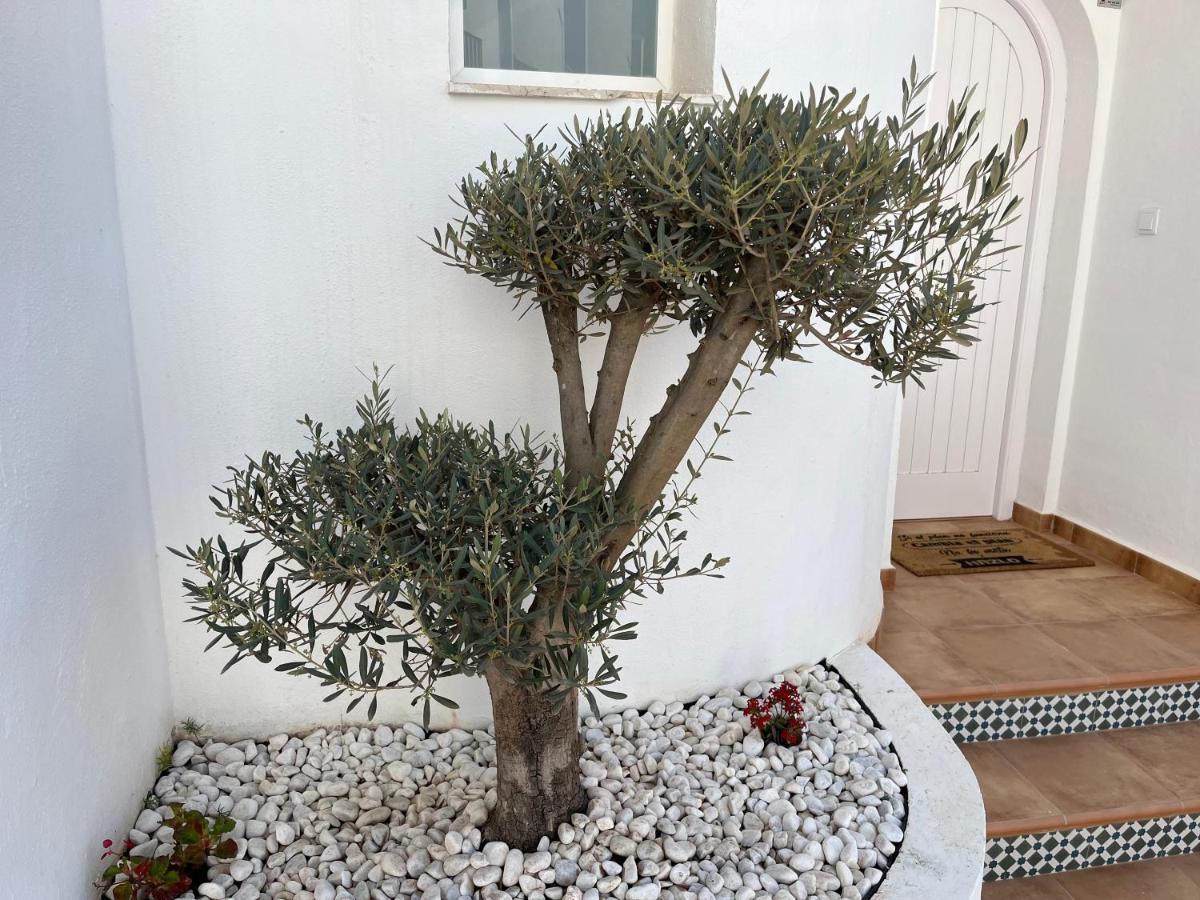 Almuñécar Casa Del Olivo 빌라 외부 사진